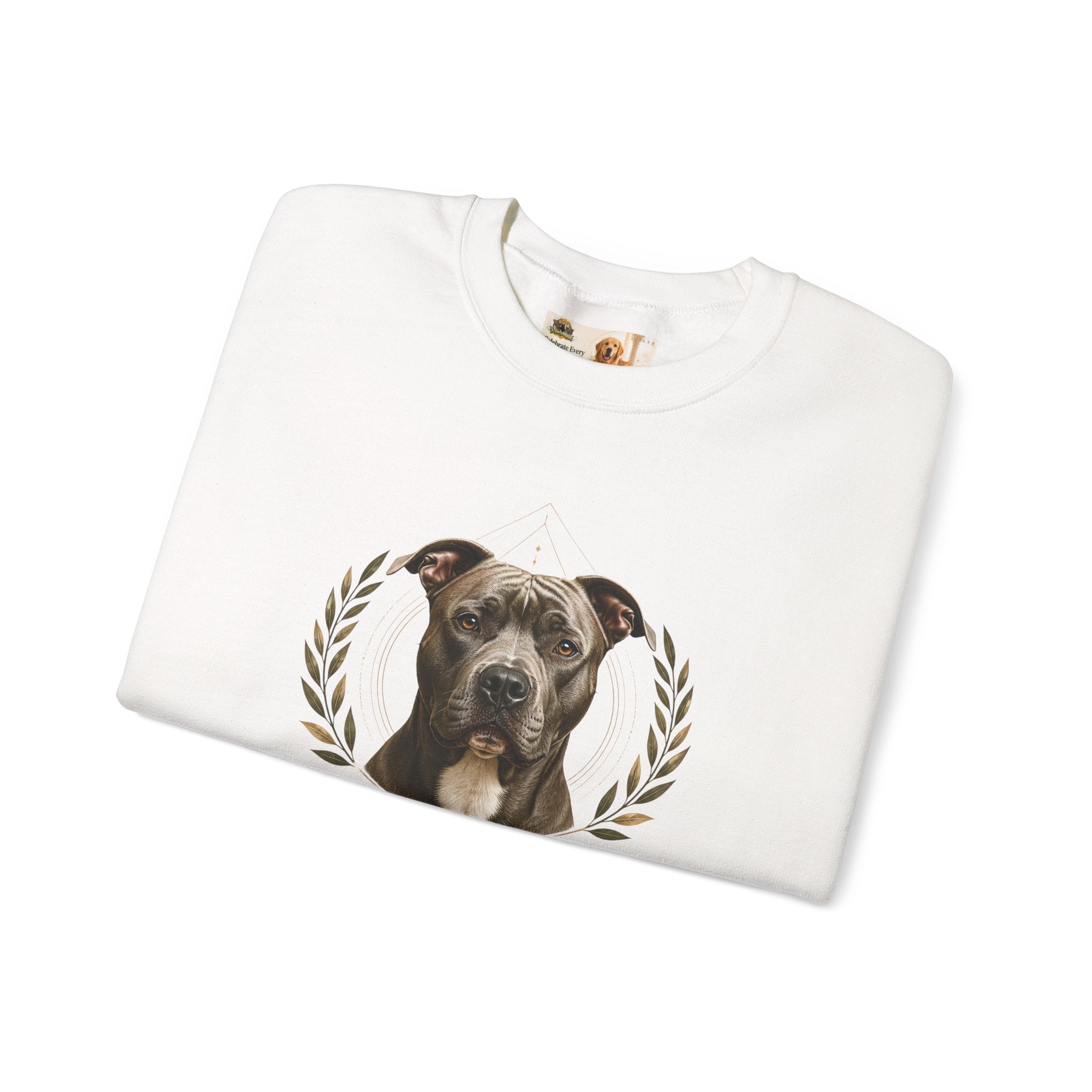Chosen, Not Forgotten | SWEATSHIRT