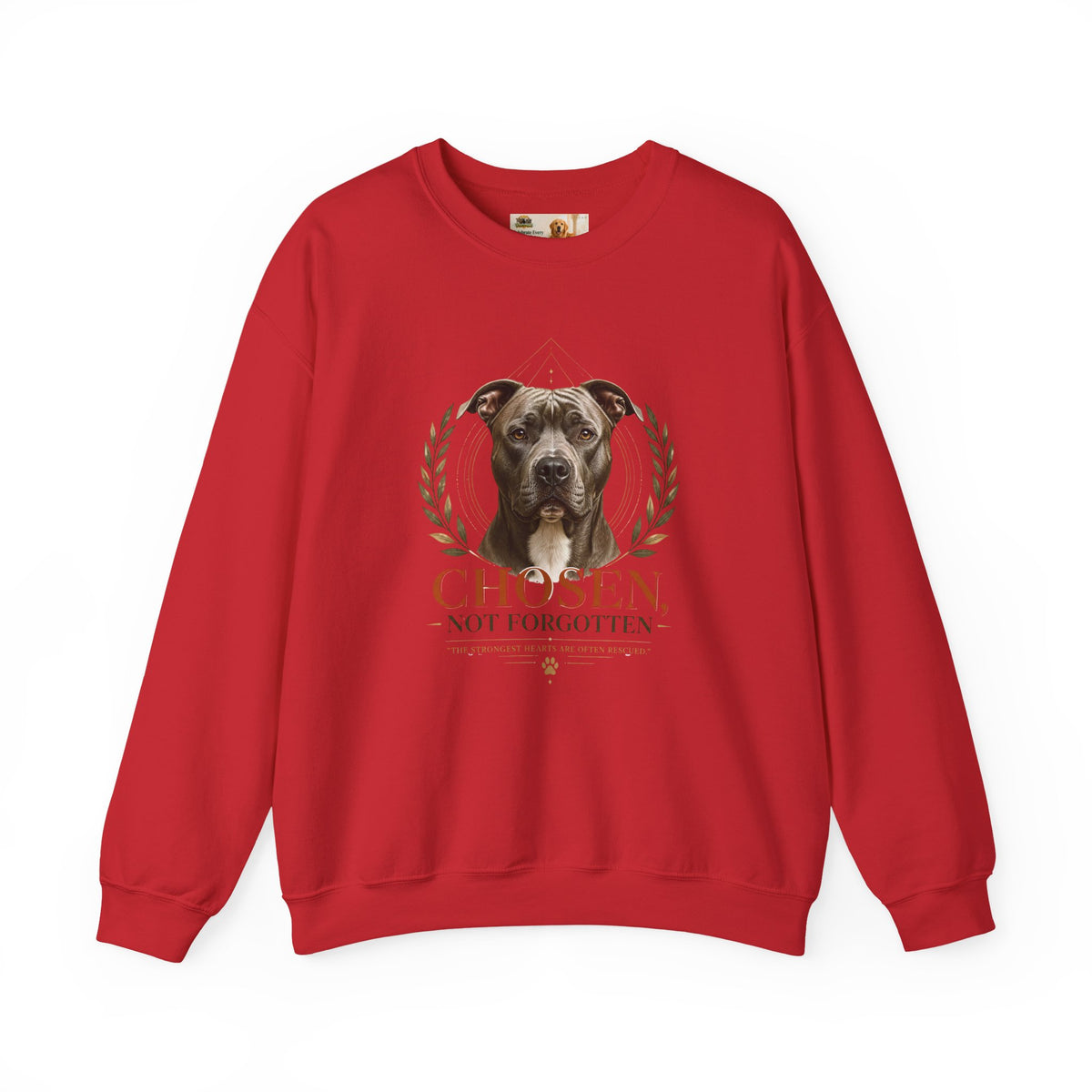Chosen, Not Forgotten | Rescue Collection Sweatshirt