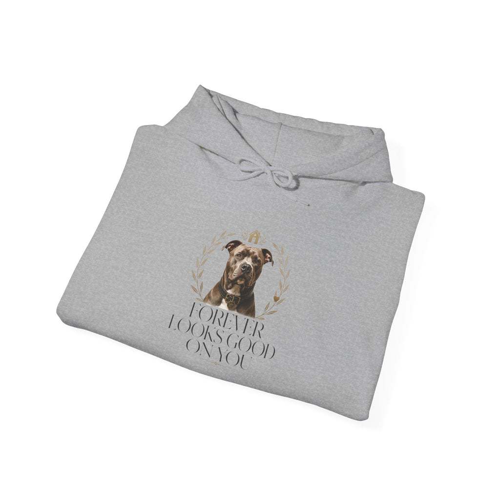 Forever Looks Good | Gildan Heavy Blend™ Hoodie (18500)