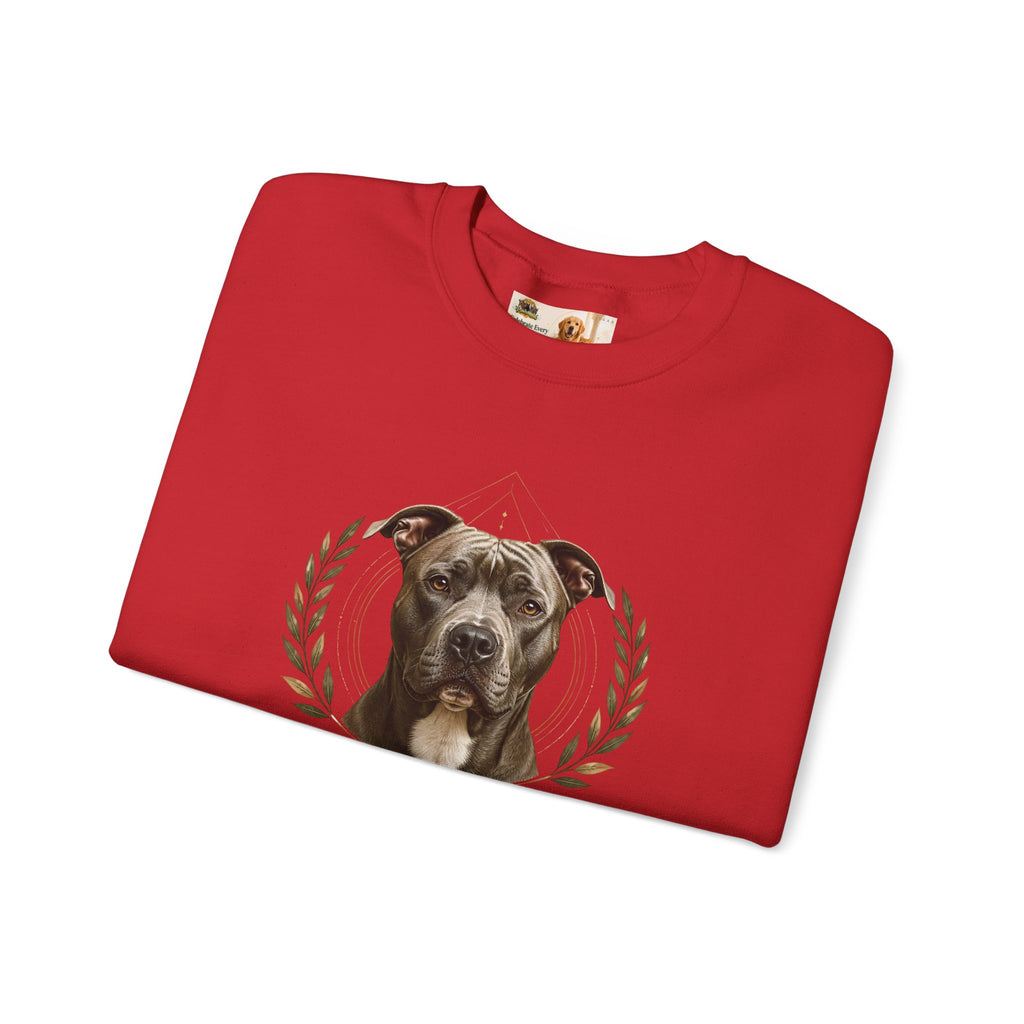 Chosen, Not Forgotten | SWEATSHIRT