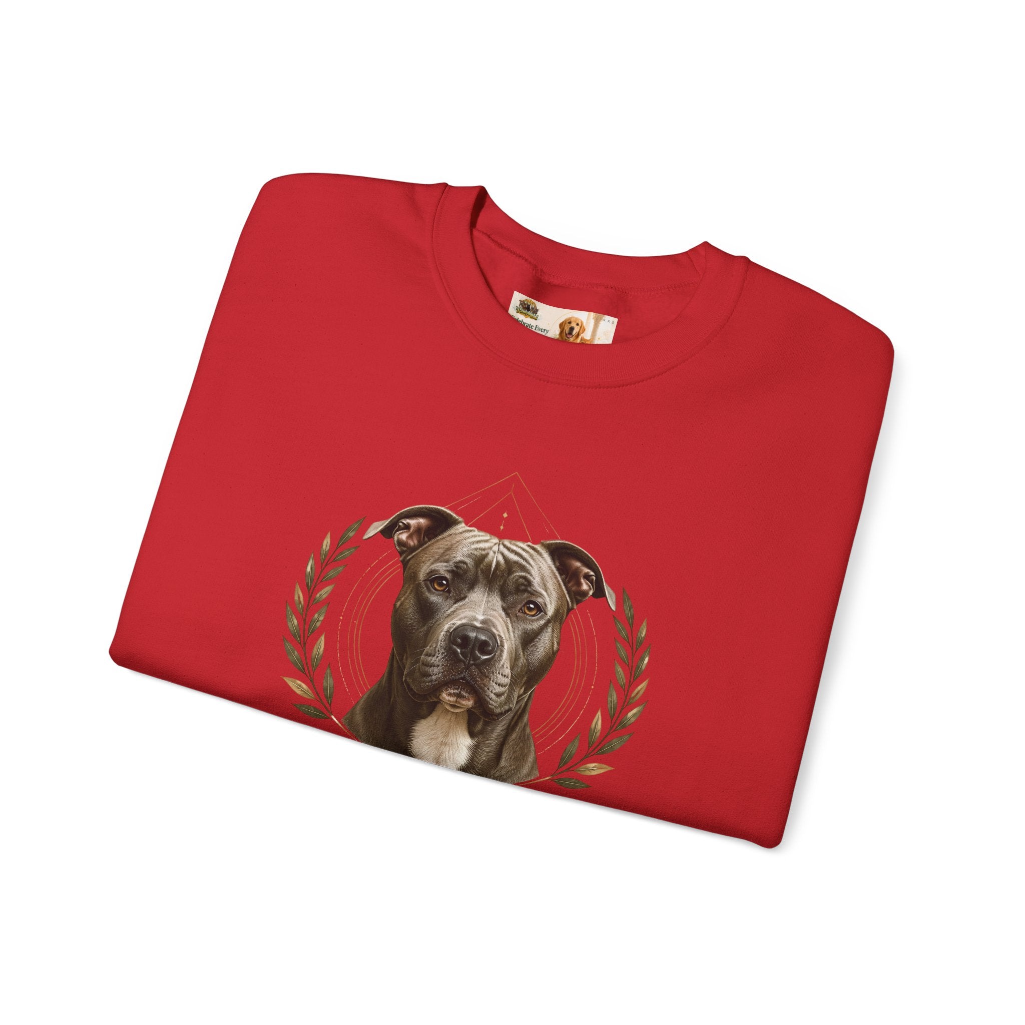 Chosen, Not Forgotten | SWEATSHIRT