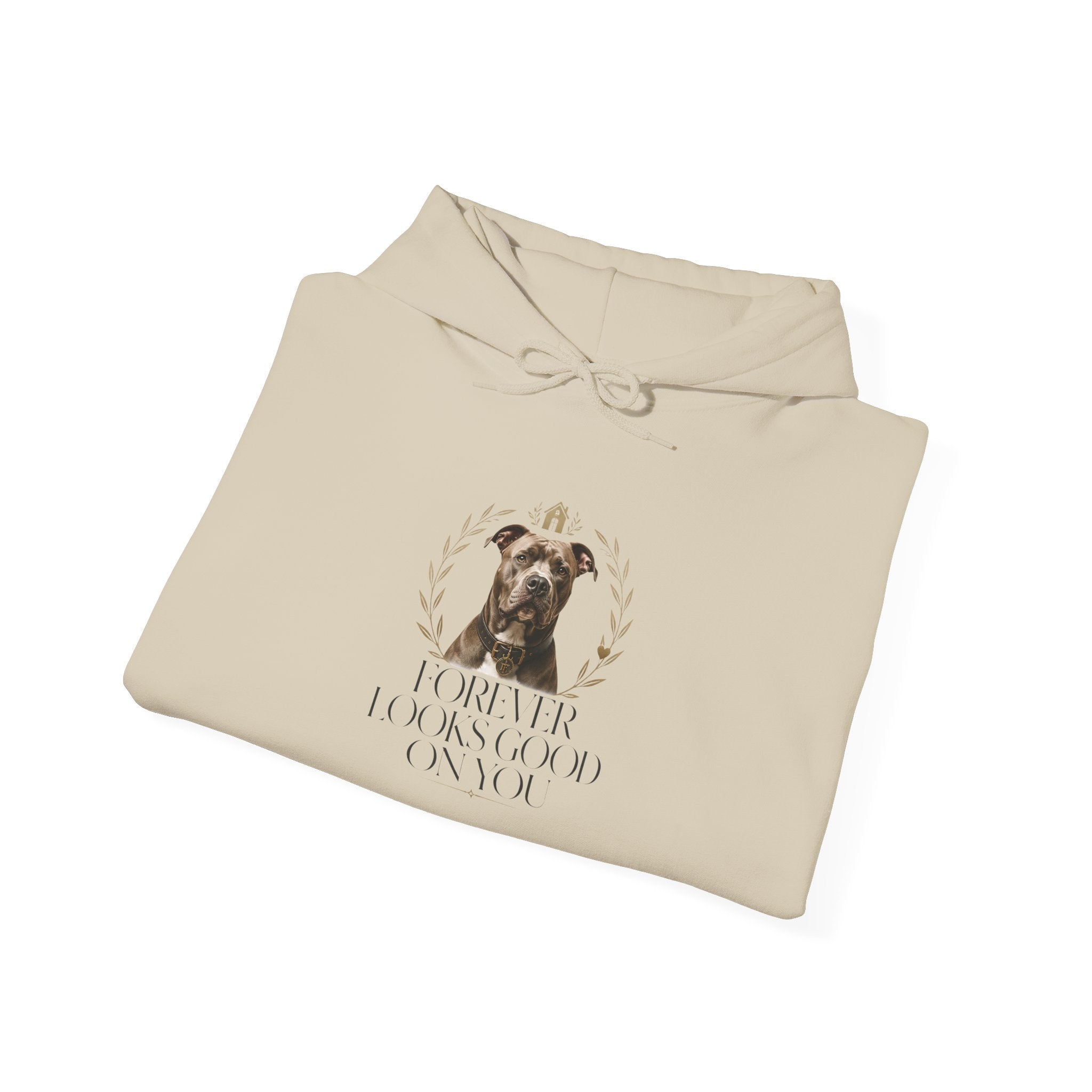 Forever Looks Good | Gildan Heavy Blend™ Hoodie (18500)