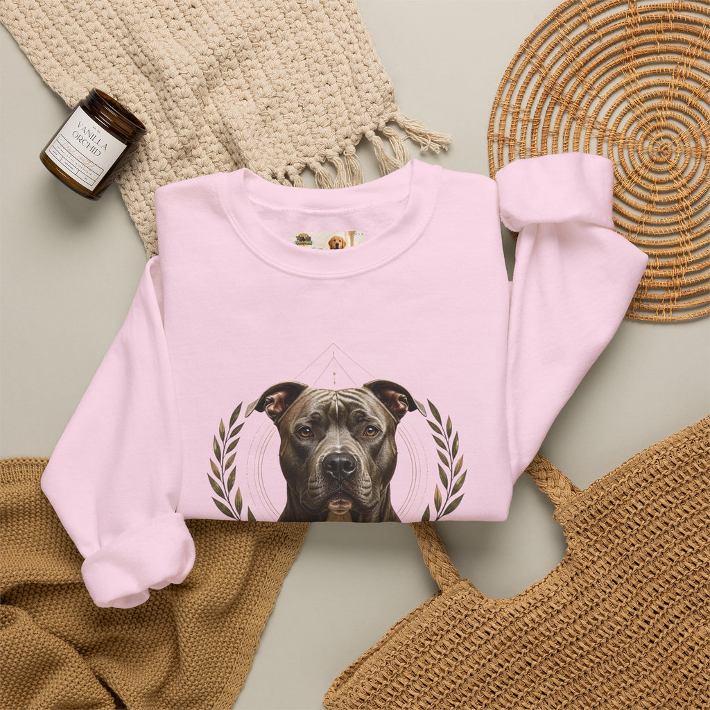 Chosen, Not Forgotten | SWEATSHIRT