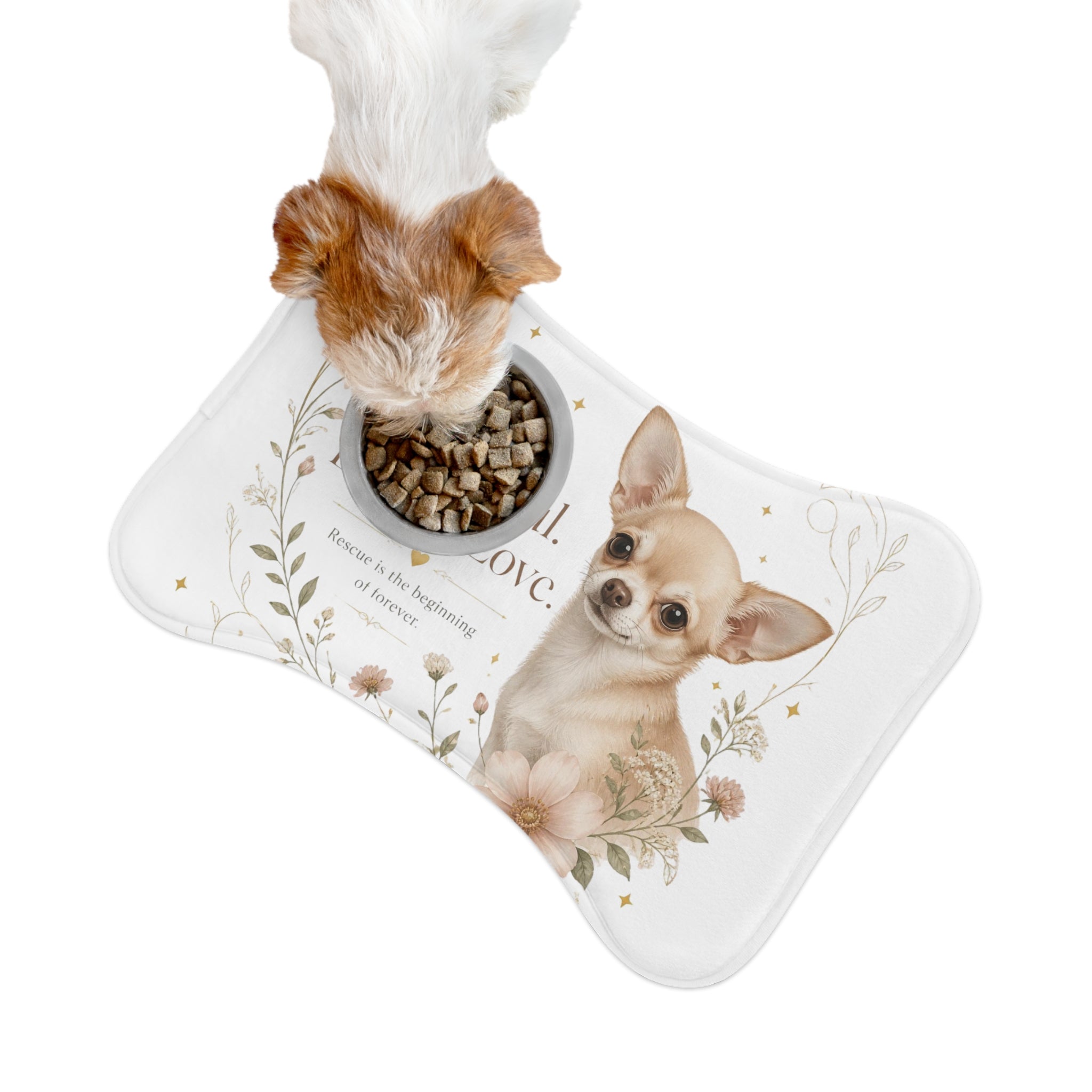 ENDLESS LOVE | Pet Feeding Mats