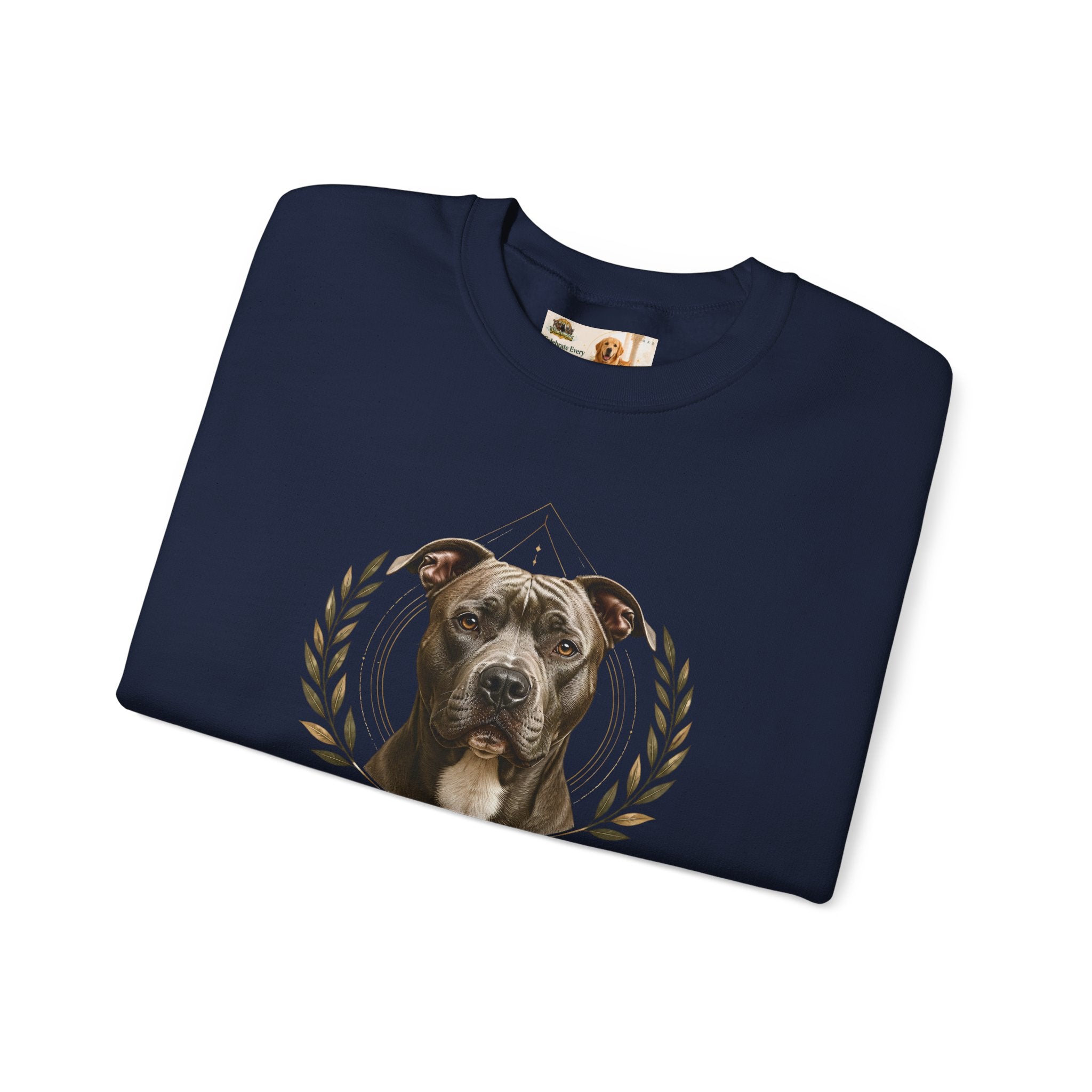 Chosen, Not Forgotten | SWEATSHIRT