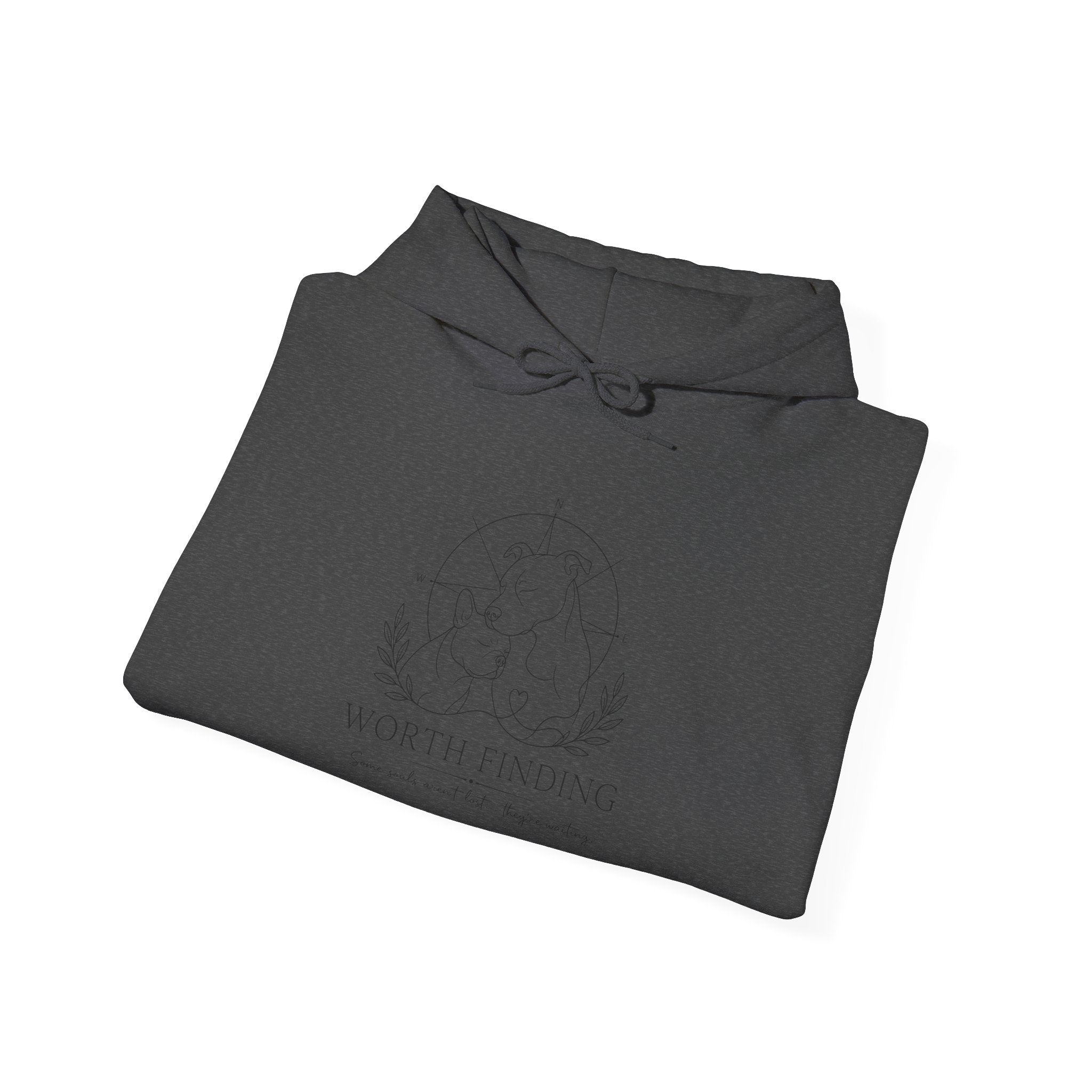 Worth Finding | Gildan Heavy Blend™ Hoodie (18500)