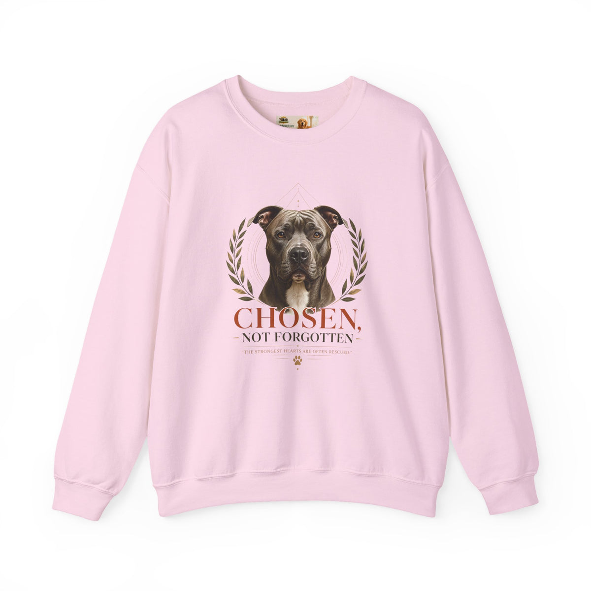 Chosen, Not Forgotten | Rescue Collection Sweatshirt