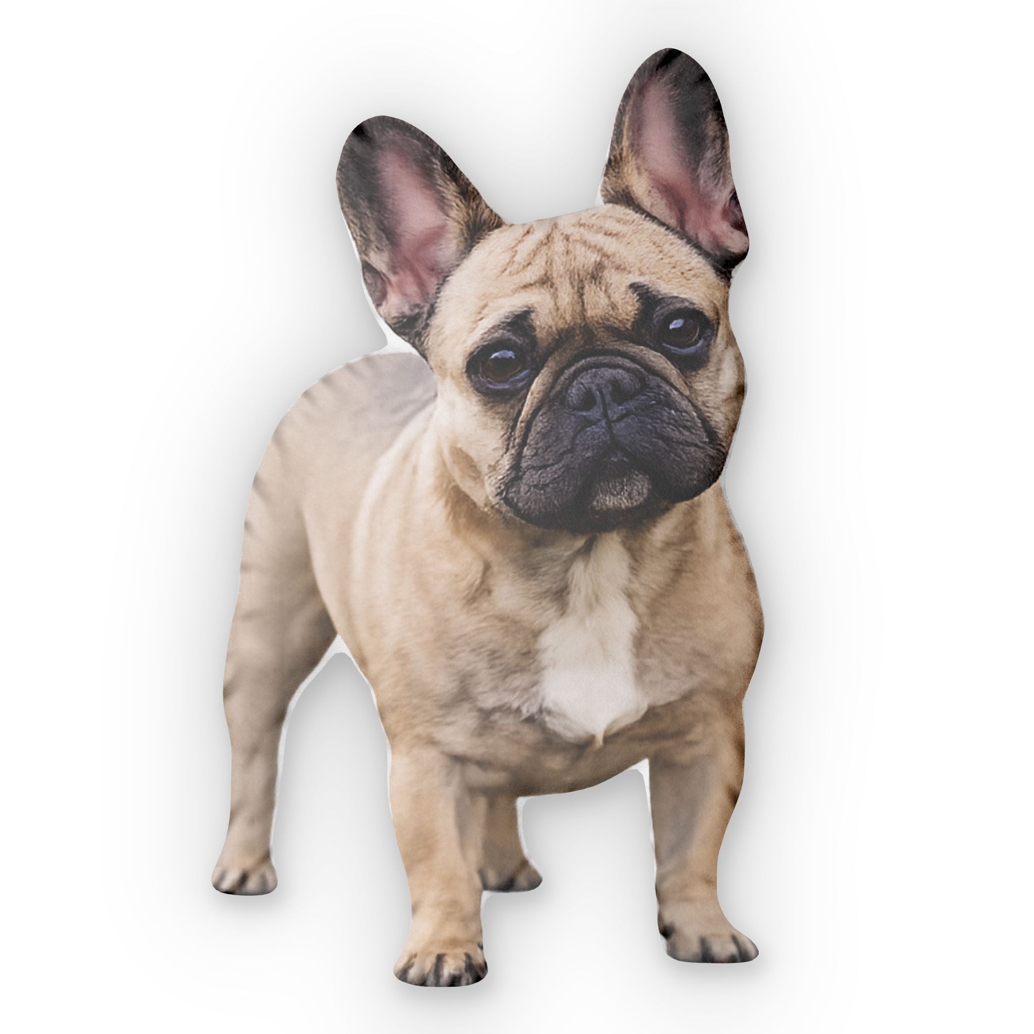 French Bulldog | Shaped Pillows