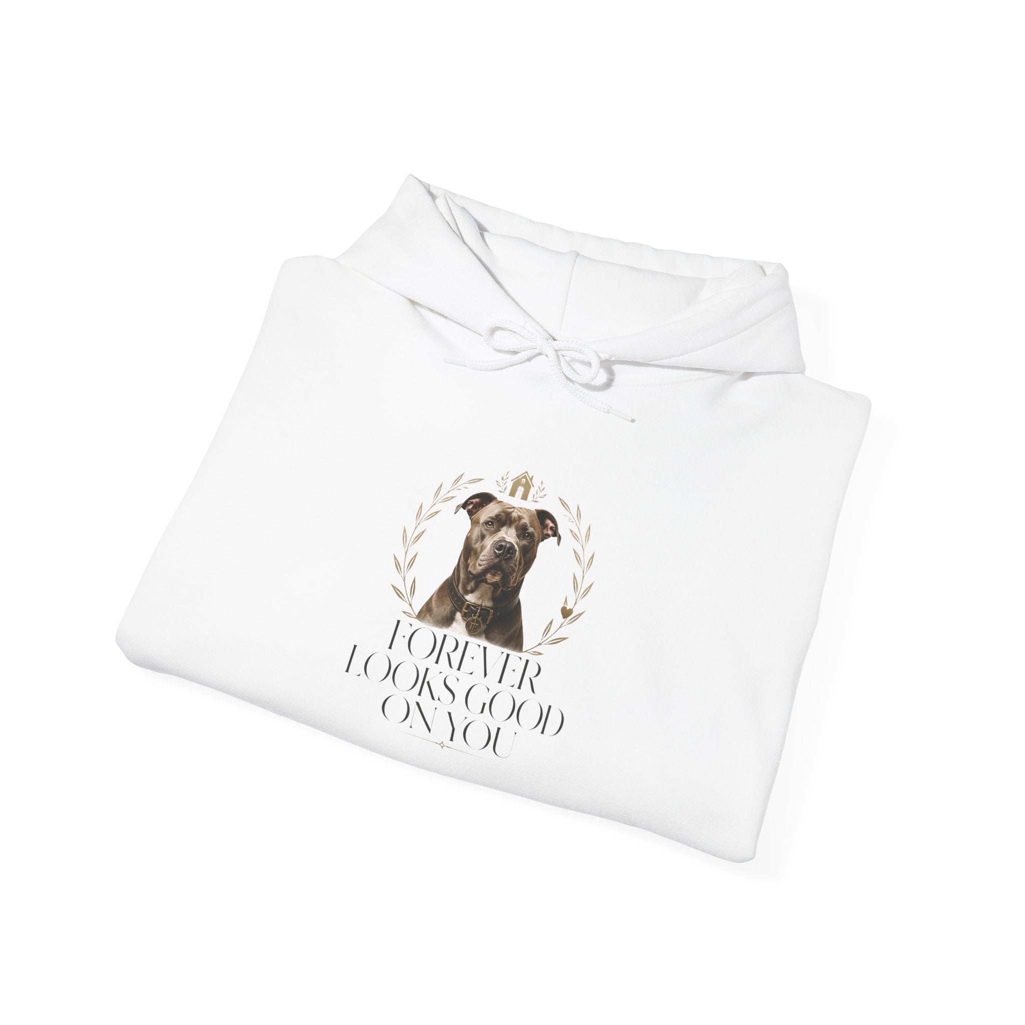 Forever Looks Good | Gildan Heavy Blend™ Hoodie (18500)