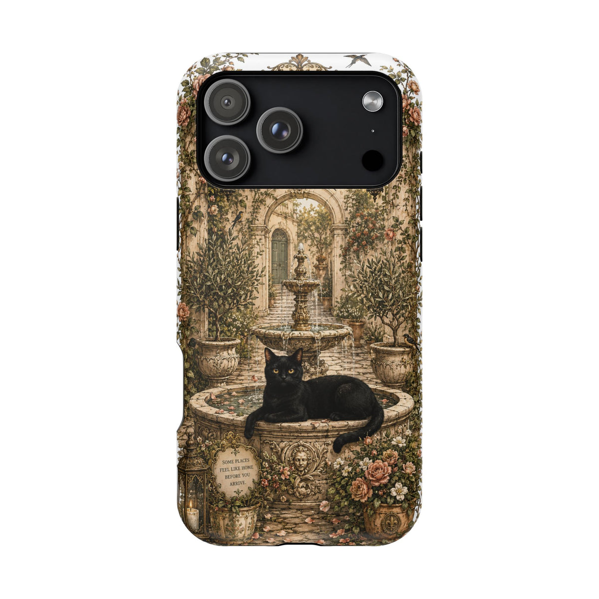 The Secret Courtyard Fountain | Cat Mom Collection Phone case