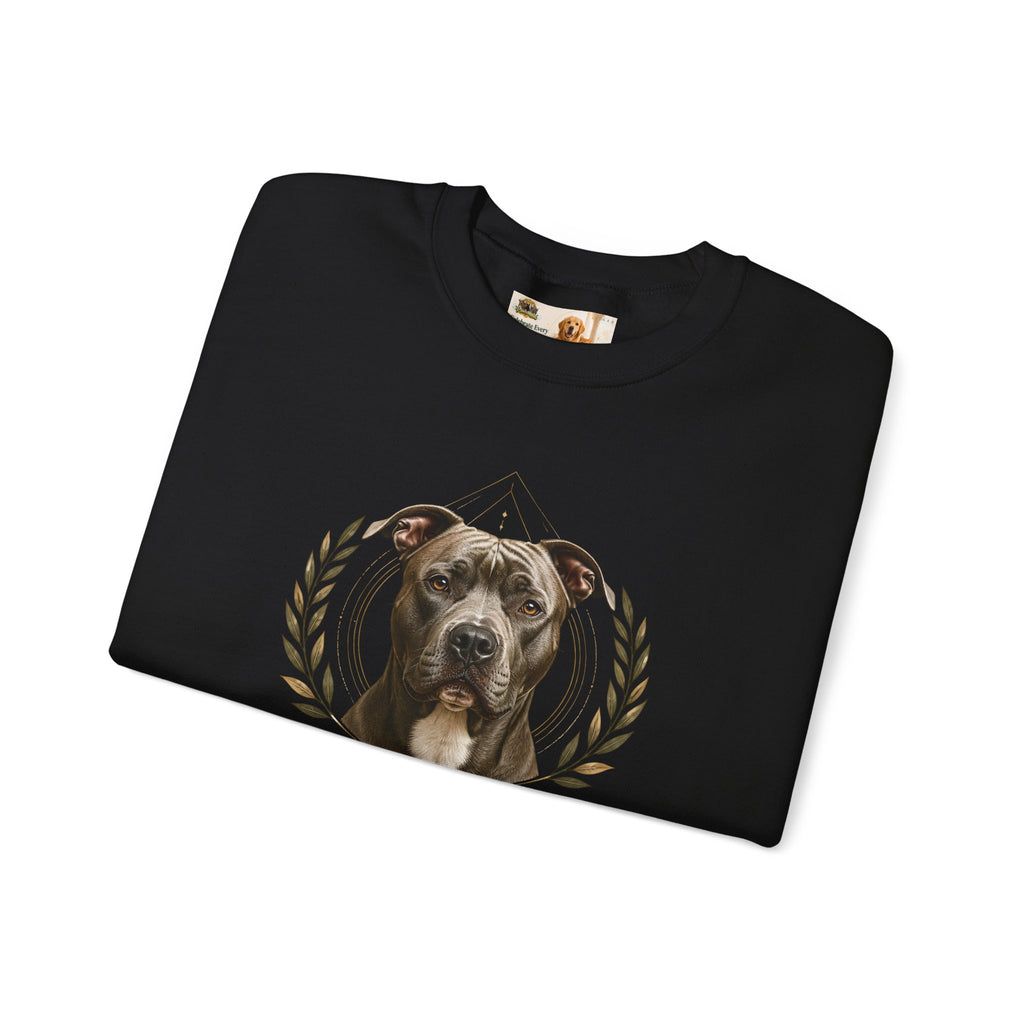 Chosen, Not Forgotten | SWEATSHIRT