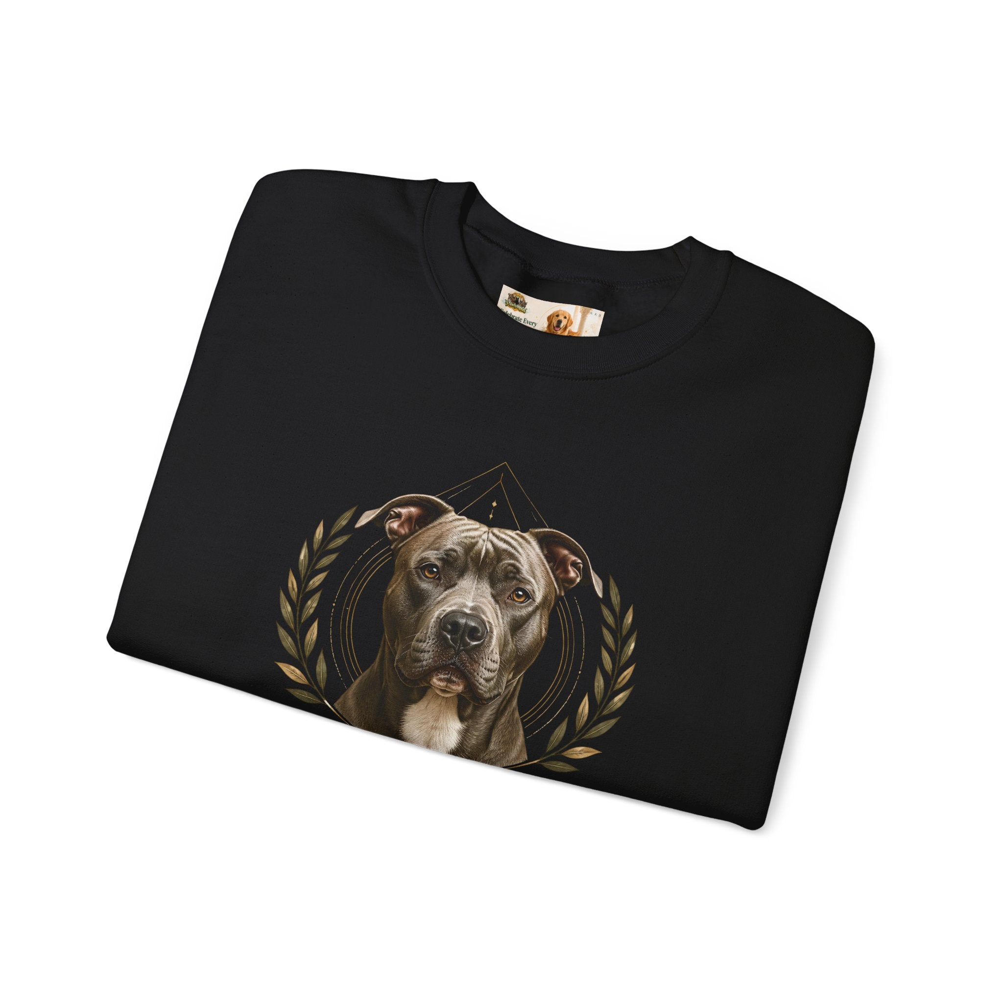 Chosen, Not Forgotten | SWEATSHIRT