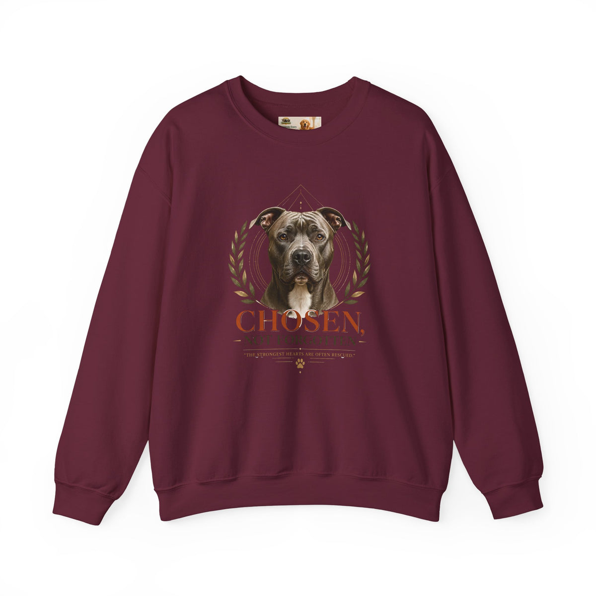 Chosen, Not Forgotten | Rescue Collection Sweatshirt