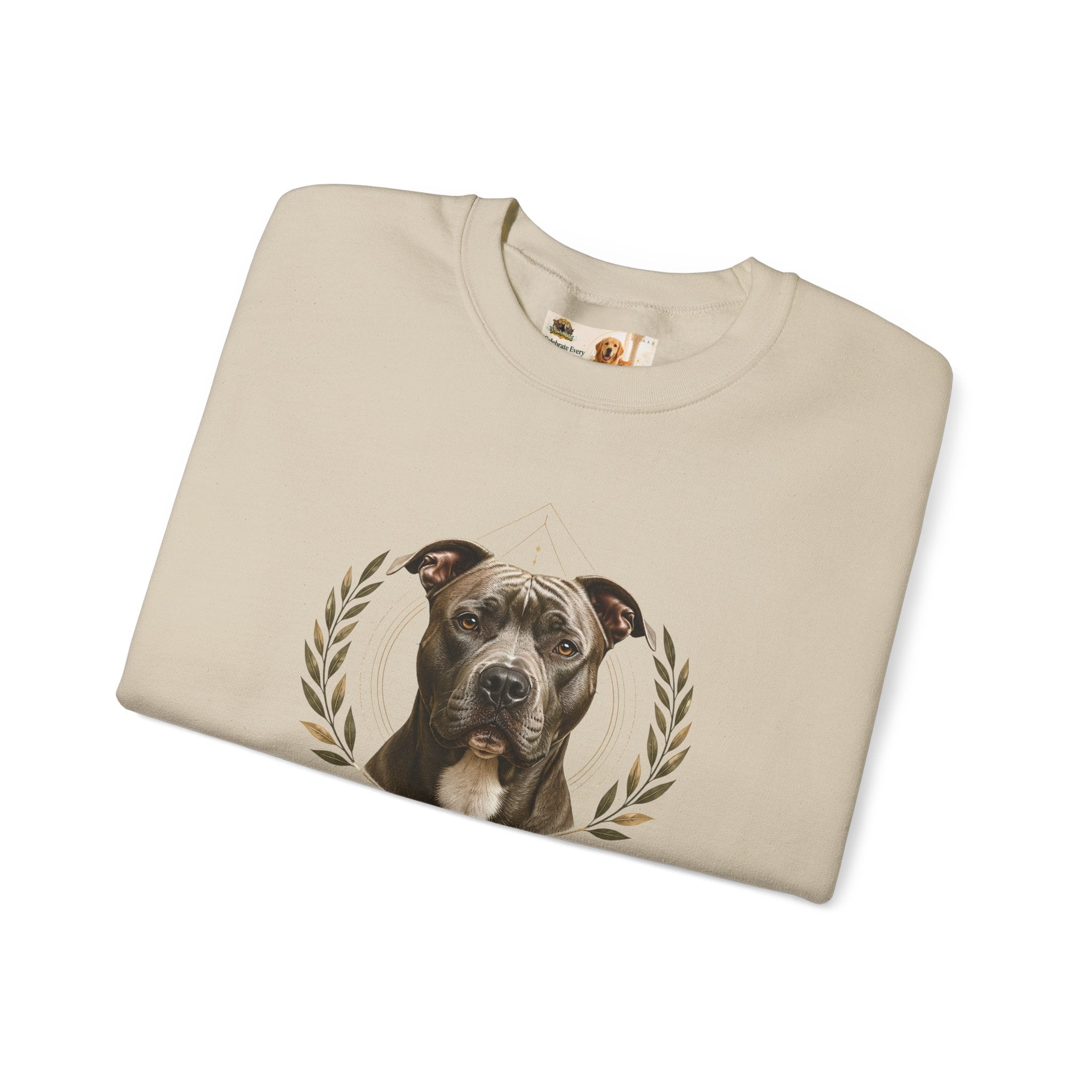 Chosen, Not Forgotten | SWEATSHIRT