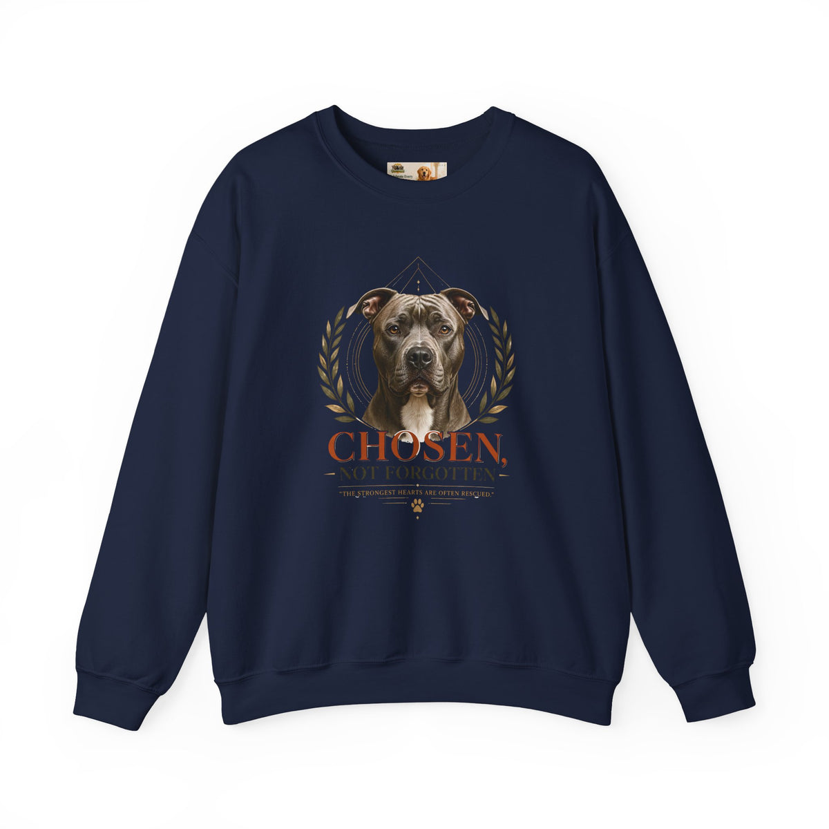 Chosen, Not Forgotten | Rescue Collection Sweatshirt