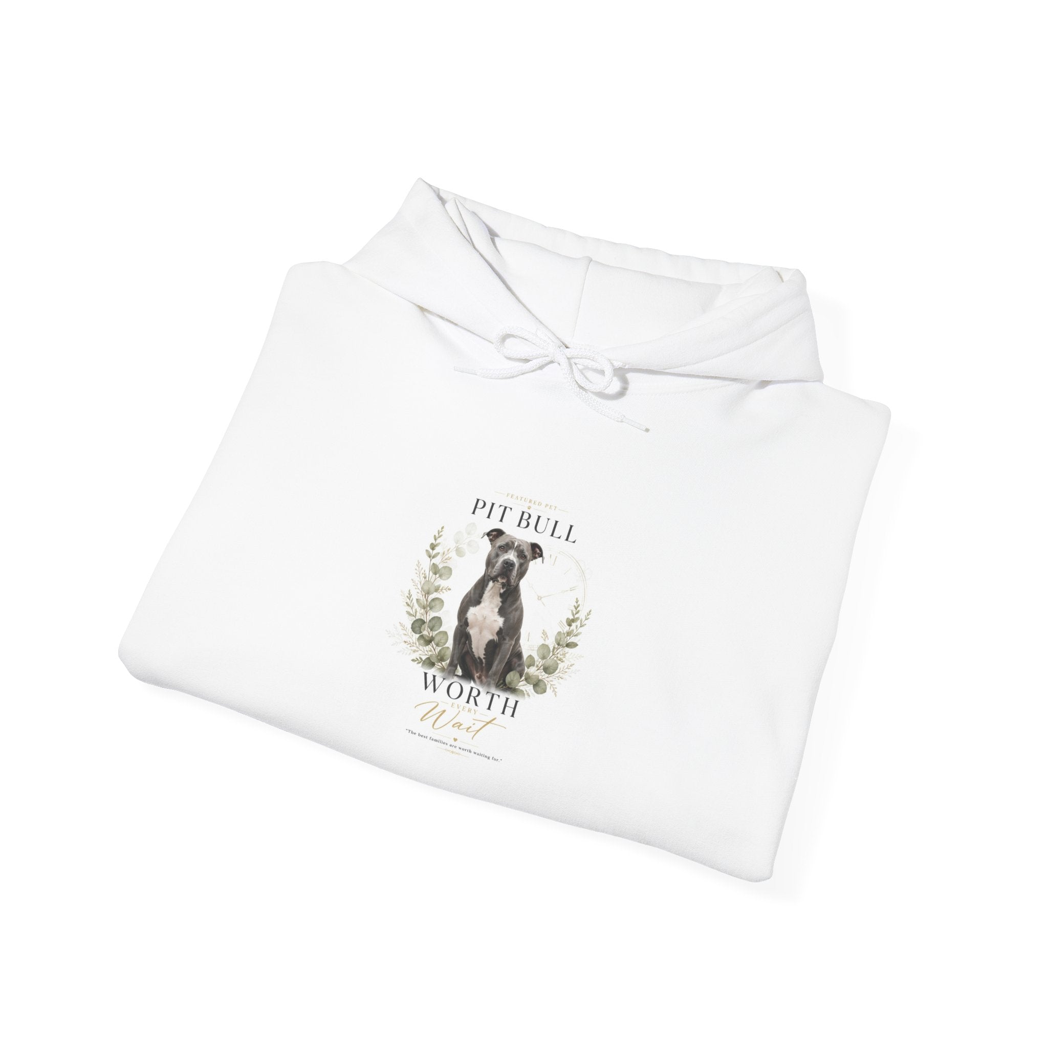 WORTH THE WAIT  | Gildan Heavy Blend™ Hoodie (18500)