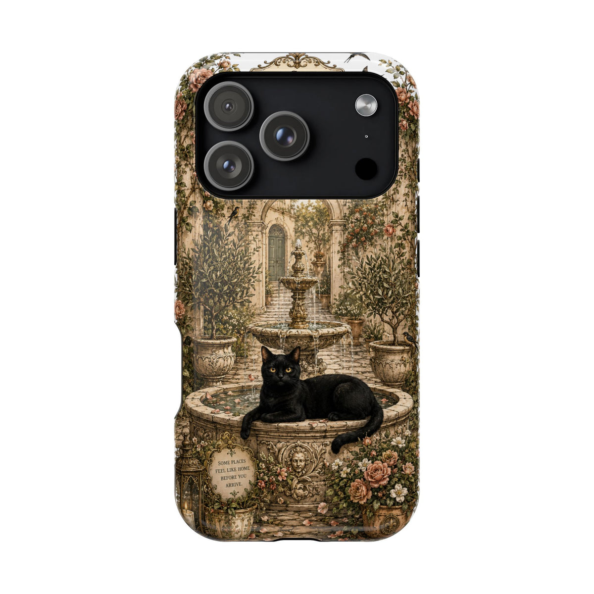 The Secret Courtyard Fountain | Cat Mom Collection Phone case