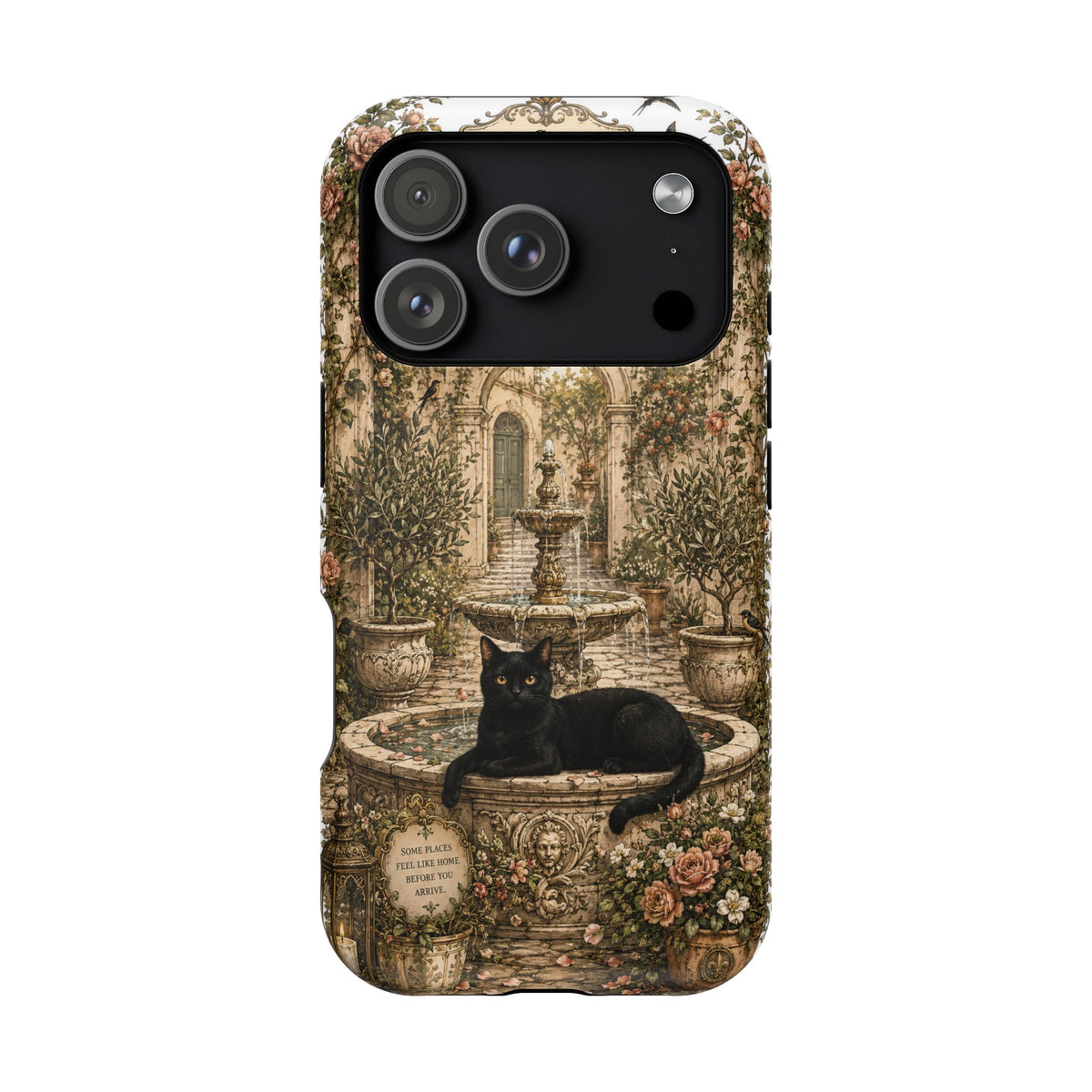 The Secret Courtyard Fountain | Cat Mom Collection Phone case