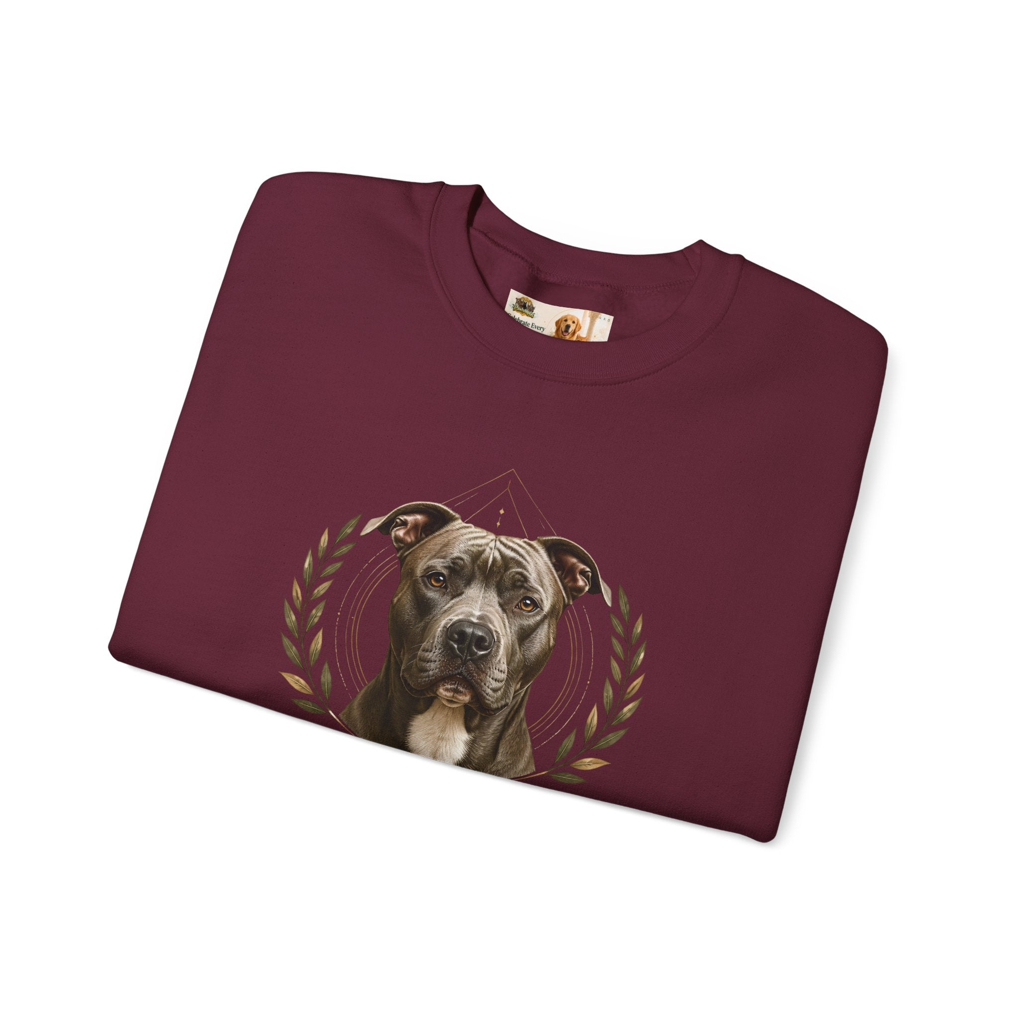 Chosen, Not Forgotten | SWEATSHIRT