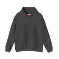 Worth Finding | Gildan Heavy Blend™ Hoodie (18500)