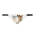 Battery never low | Fun Collection Pet Bandana