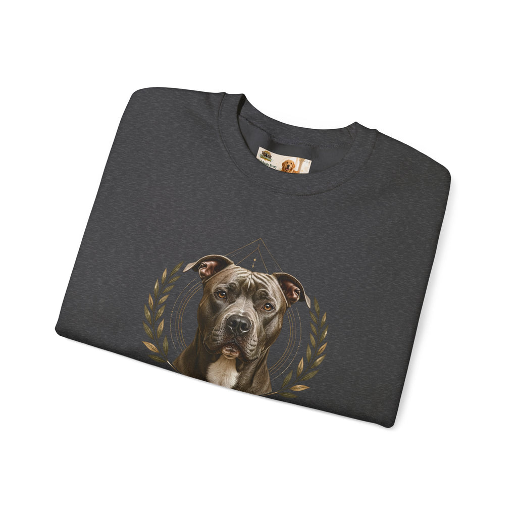 Chosen, Not Forgotten | SWEATSHIRT