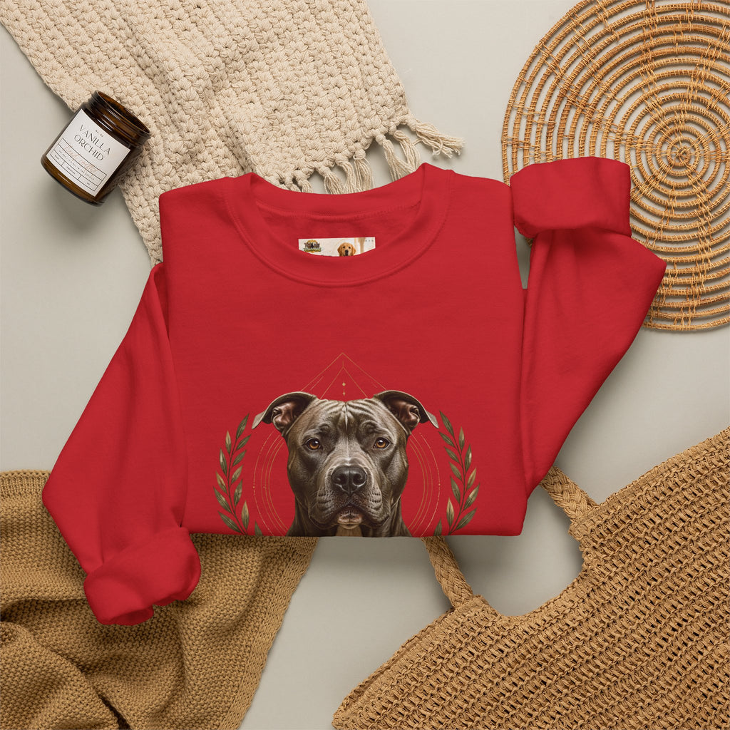 Chosen, Not Forgotten | SWEATSHIRT