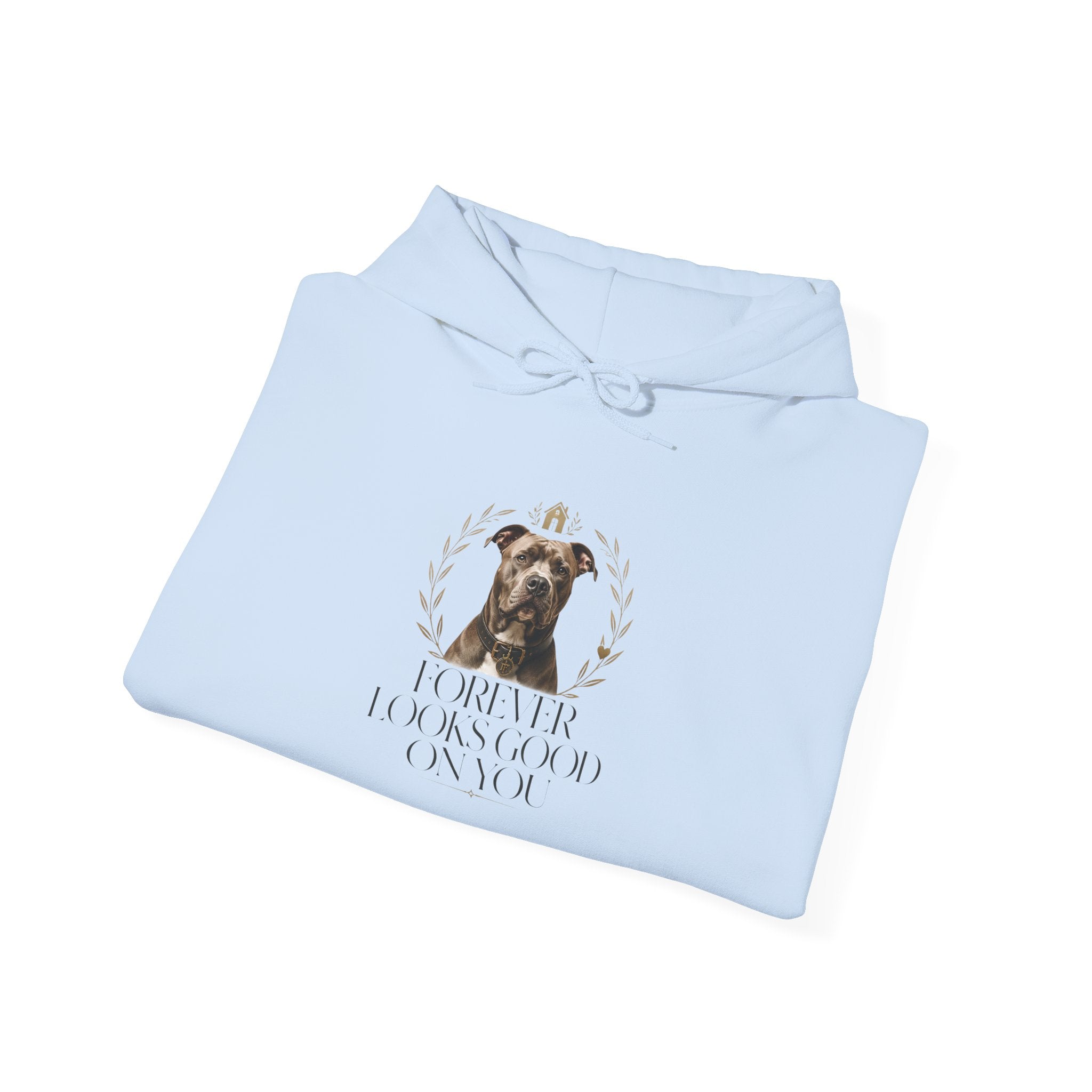 Forever Looks Good | Gildan Heavy Blend™ Hoodie (18500)
