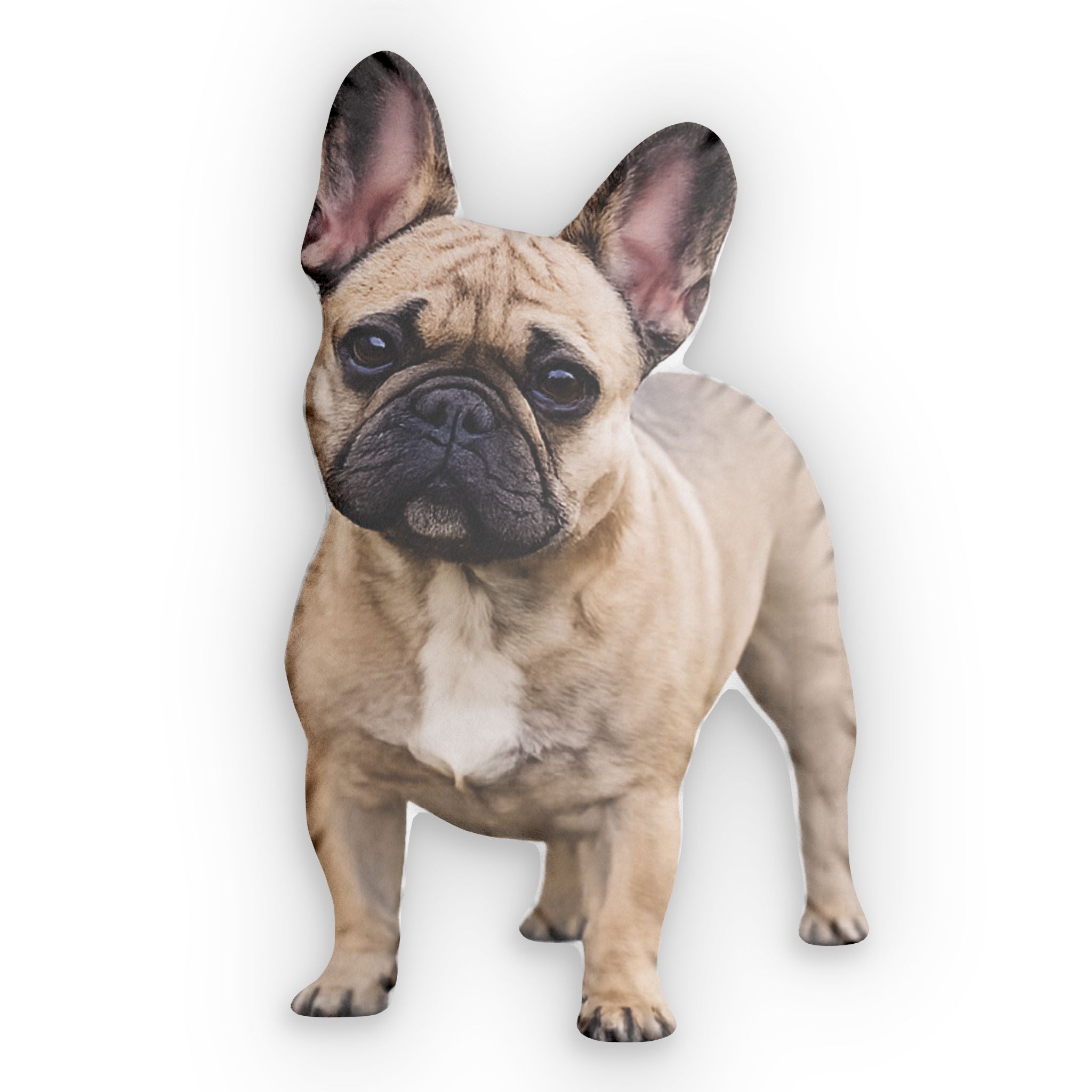 French Bulldog | Shaped Pillows