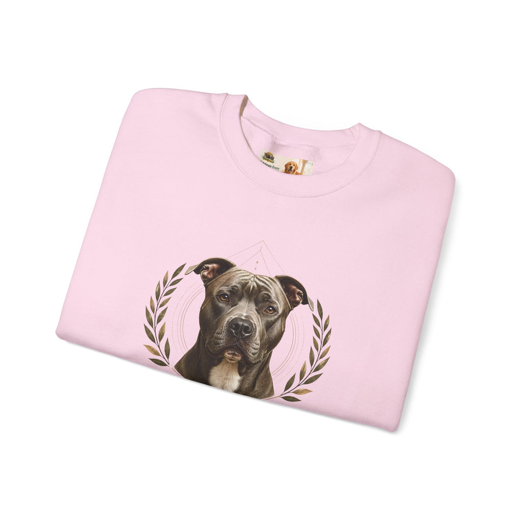 Chosen, Not Forgotten | SWEATSHIRT