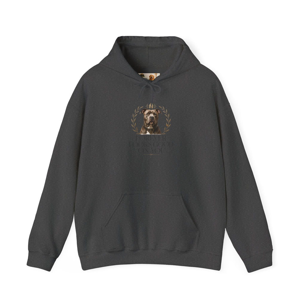 Forever Looks Good | Gildan Heavy Blend™ Hoodie (18500)