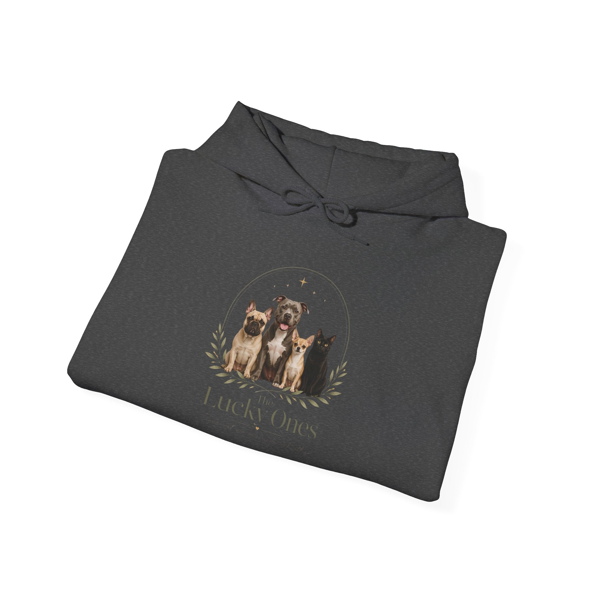 The Lucky Ones | Gildan Heavy Blend™ Hoodie (18500)