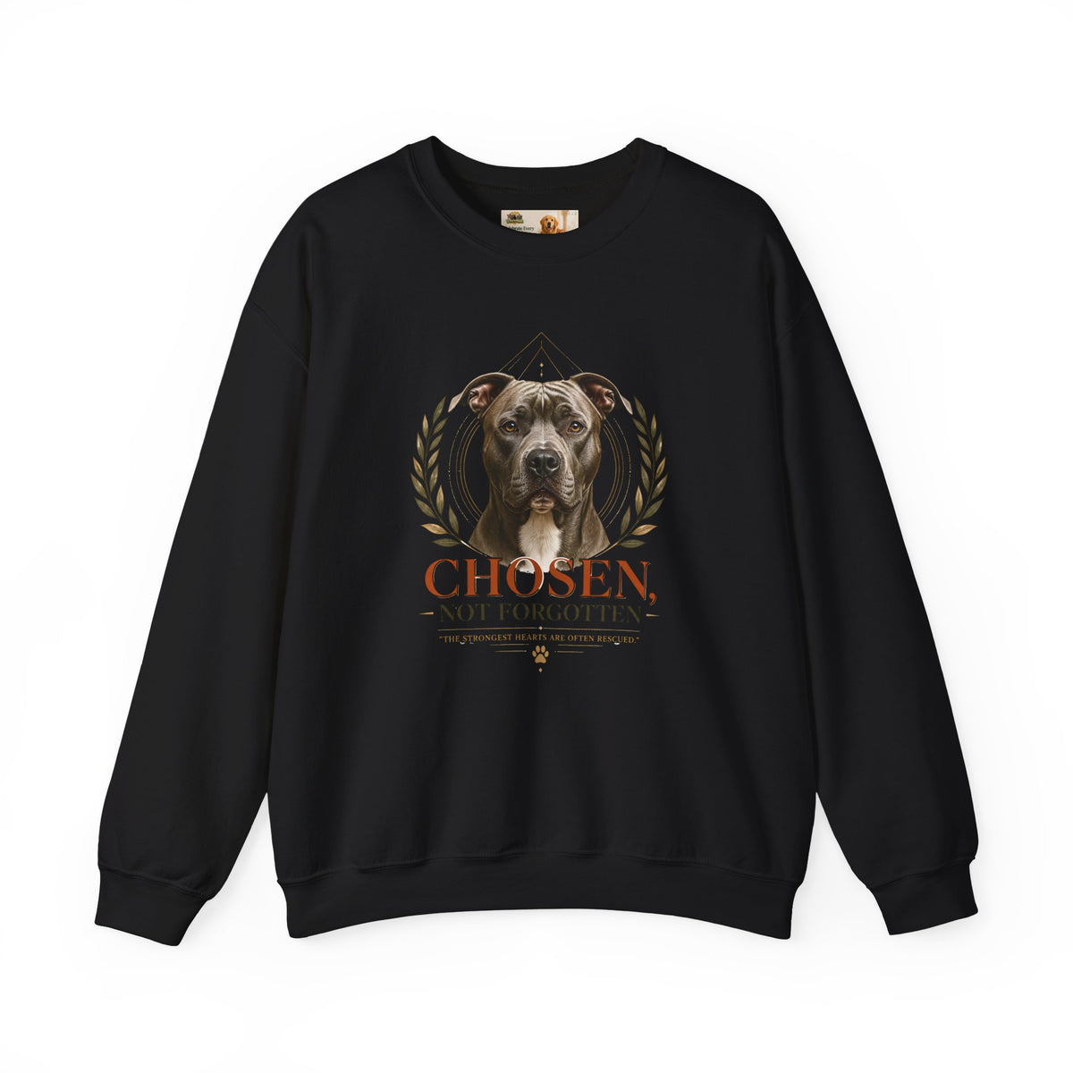 Chosen, Not Forgotten | Rescue Collection Sweatshirt