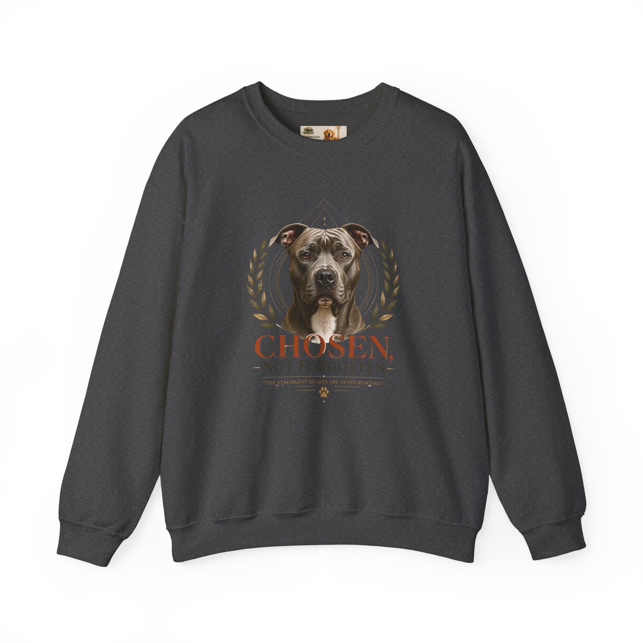 Chosen, Not Forgotten | SWEATSHIRT