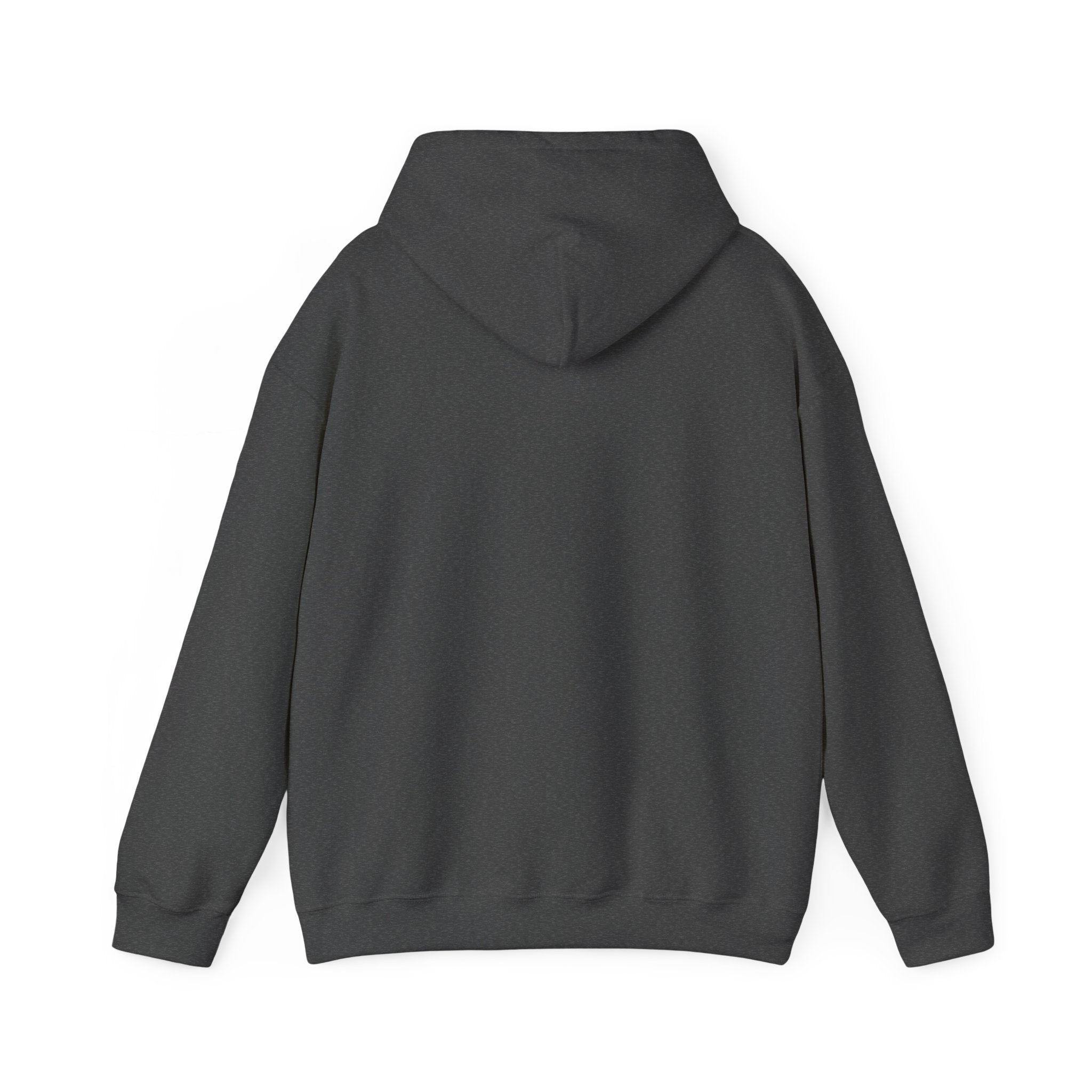 THE SUNROOM AFTERNOON | Gildan Heavy Blend™ Hoodie (18500)